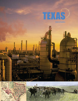 Book cover for Texas