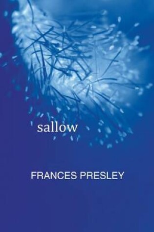 Cover of sallow