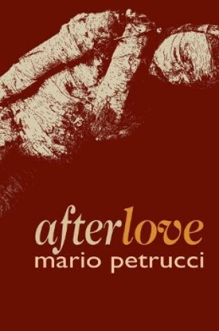 Cover of afterlove