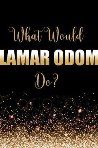 Cover of What Would Lamar Odom Do?