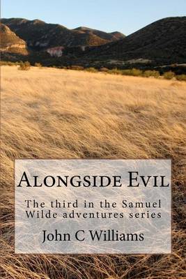 Book cover for Alongside Evil