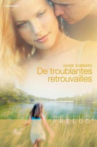 Cover of de Troublantes Retrouvailles