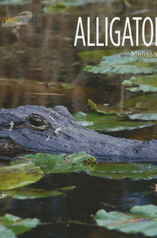 Cover of Alligators