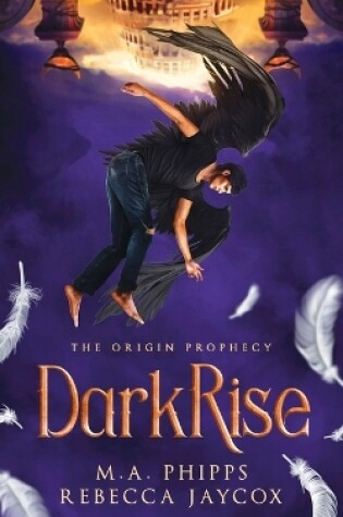 Cover of DarkRise