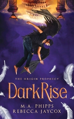Book cover for DarkRise