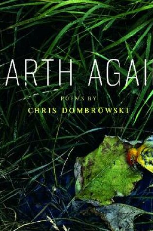 Cover of Earth Again