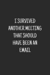 Book cover for I Survived Another Meeting That Should Have Been An Email