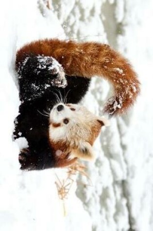 Cover of A Red Panda in the Snow Journal