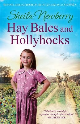 Book cover for Hay Bales and Hollyhocks