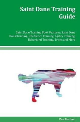 Cover of Saint Dane Training Guide Saint Dane Training Book Features