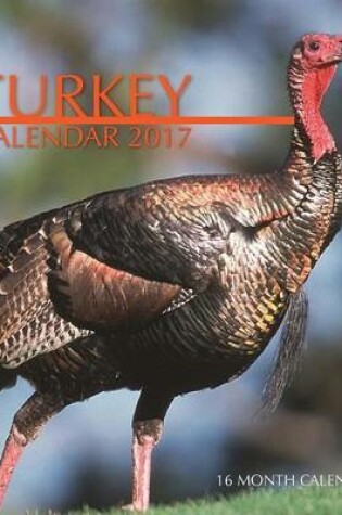 Cover of Turkey Calendar 2017