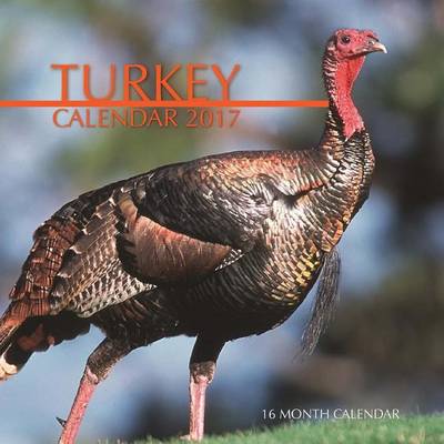 Book cover for Turkey Calendar 2017