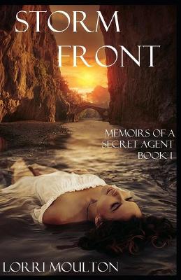 Book cover for Storm Front