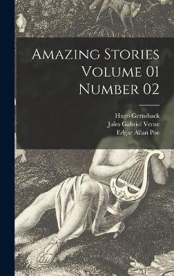 Book cover for Amazing Stories Volume 01 Number 02