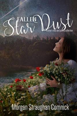 Book cover for Fallen Star Dust