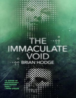 Book cover for The Immaculate Void