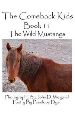 Cover of The Comeback Kids--Book 11--The Wild Mustangs