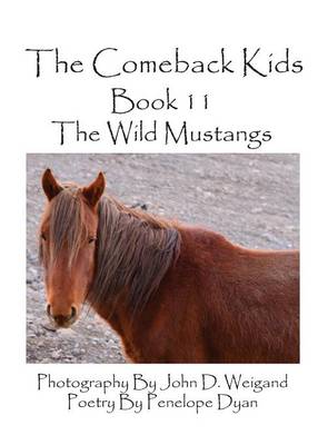 Book cover for The Comeback Kids--Book 11--The Wild Mustangs
