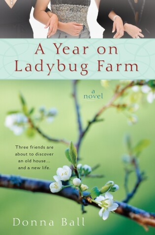 A Year on Ladybug Farm