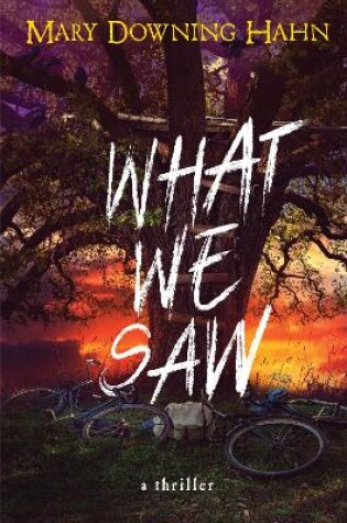 Cover of What We Saw