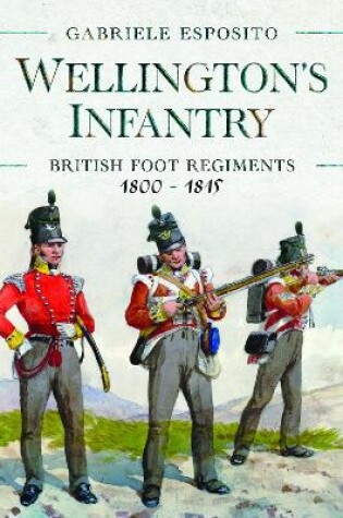 Cover of Wellington's Infantry