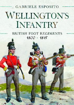 Book cover for Wellington's Infantry