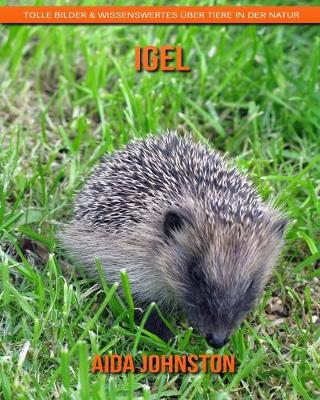 Book cover for Igel