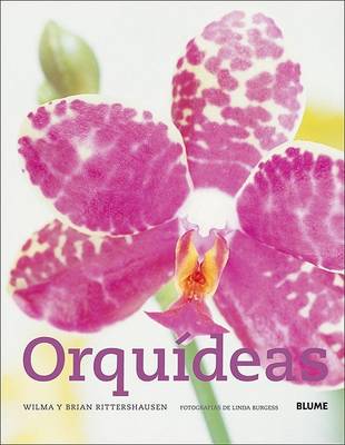 Book cover for Orquideas