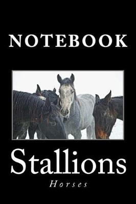 Book cover for Stallions