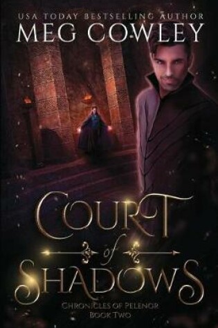 Cover of Court of Shadows