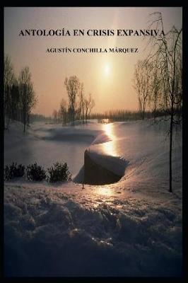 Book cover for Antologia En Crisis Expansiva