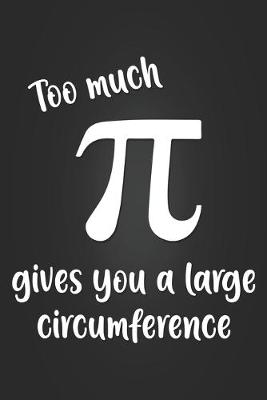 Book cover for Too Much Pi Gives You A Large Circumference