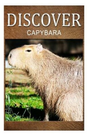 Cover of Capybara - Discover