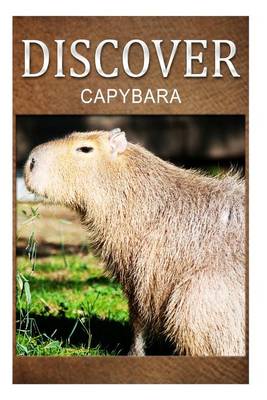 Book cover for Capybara - Discover