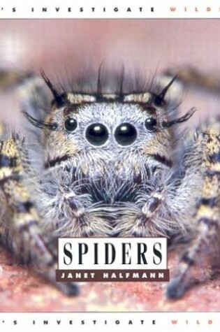 Cover of Spiders