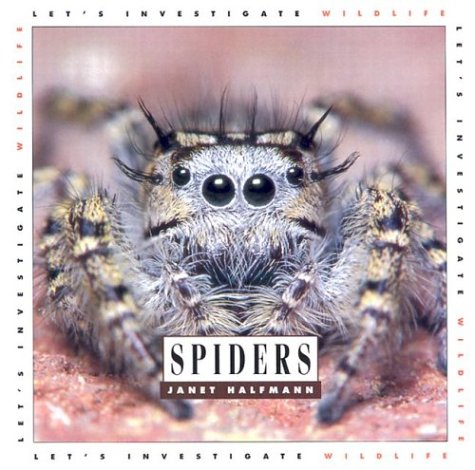 Cover of Spiders