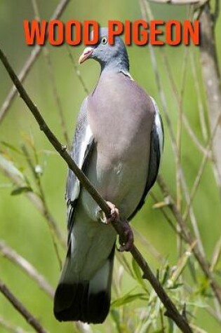 Cover of Wood Pigeon