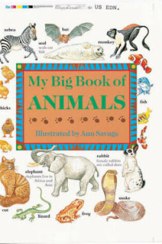 Cover of My Big Book of Animals