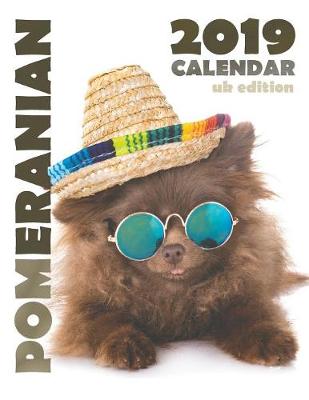 Book cover for Pomeranian 2019 Calendar (UK Edition)