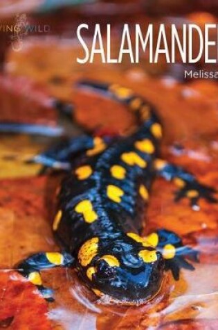 Cover of Salamanders