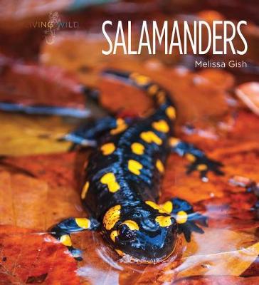 Cover of Salamanders