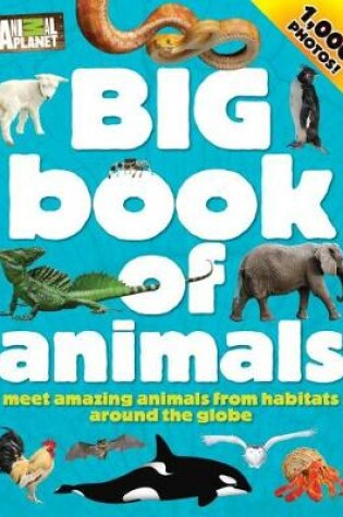 Cover of Big Book of Animals