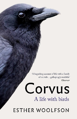 Book cover for Corvus