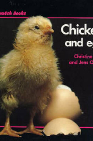 Cover of Chicken and Egg