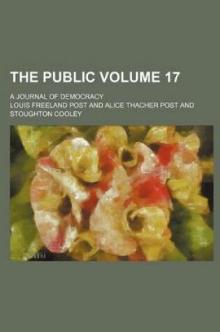 Cover of The Public Volume 17; A Journal of Democracy