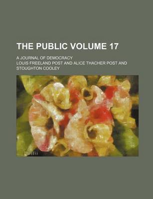 Book cover for The Public Volume 17; A Journal of Democracy