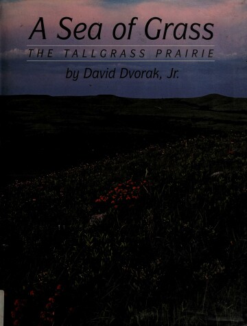 Book cover for A Sea of Grass