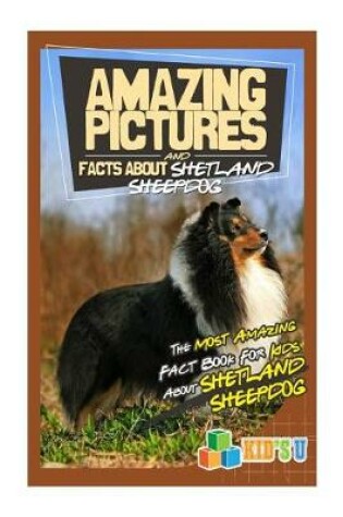 Cover of Amazing Pictures and Facts about Shetland Sheepdogs