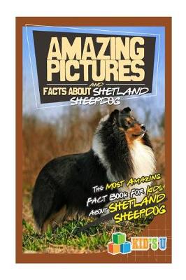 Book cover for Amazing Pictures and Facts about Shetland Sheepdogs