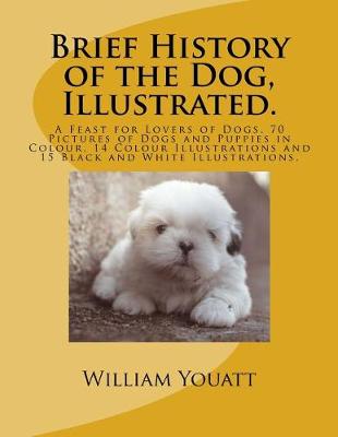 Book cover for Brief History of the Dog, Illustrated.